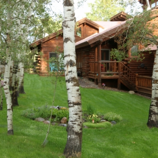 Fish Creek Home Among The Aspens - Your quintessential Colorado cabin in the woods� right in town!