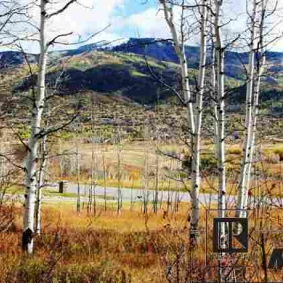 Nearly 3 Acre Parcel - Magnificent parcel in aspens
