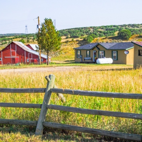 Peaceful Country Living - 36 acres with abundant privacy, pristine pastures