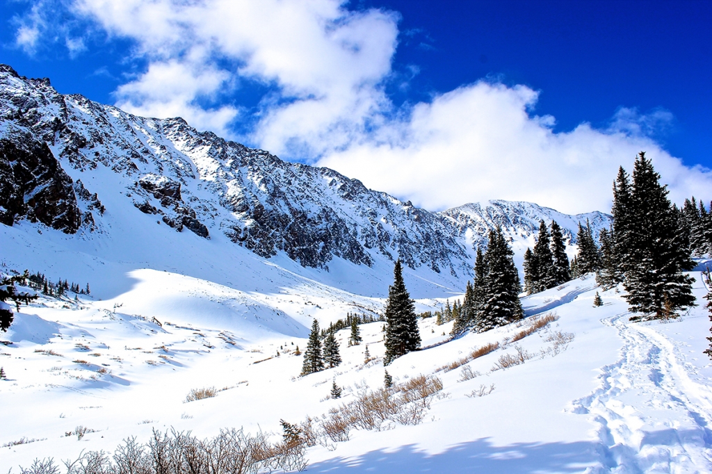 Smart Storage Solutions for Surviving Our Colorado Winter